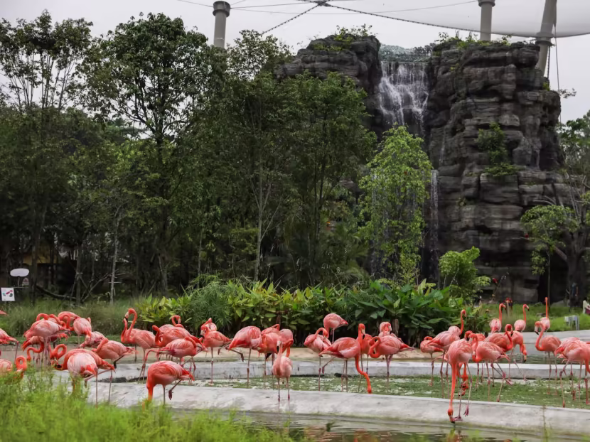 Bird Paradise Tour (Sharing Coach Tour)