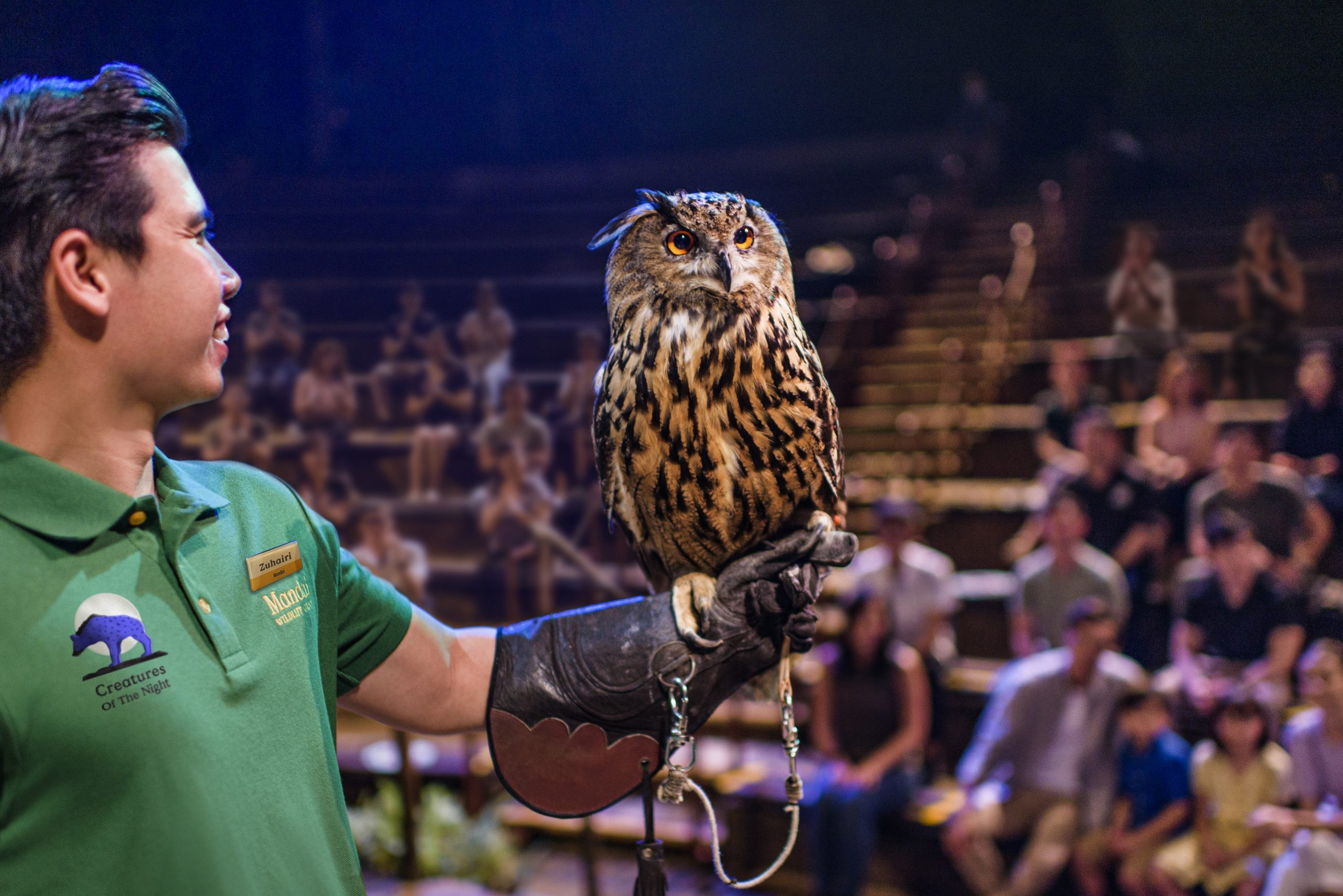 5 Days Singapore City and Safari Experience
