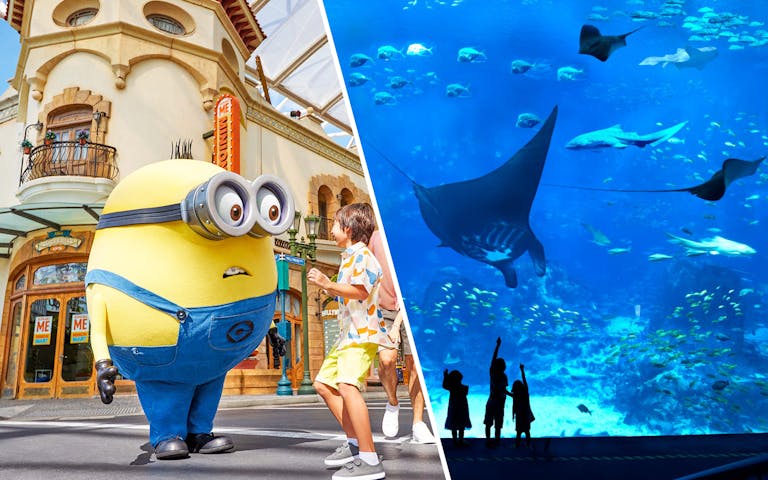 Universal Studios Singapore + Oceanarium Tour (Sharing Coach Tour)