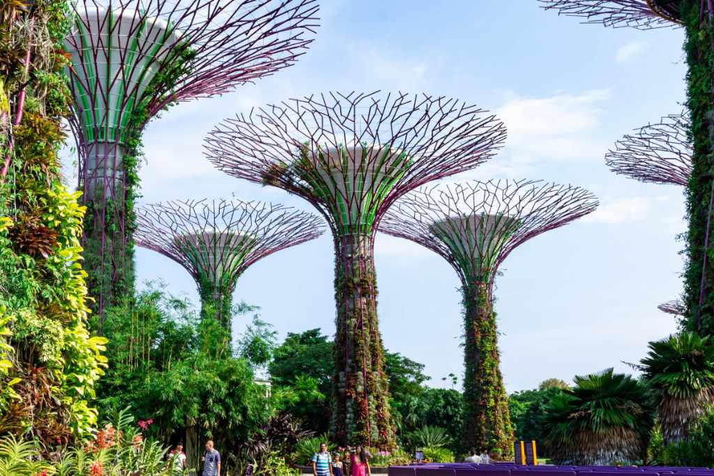 3 Days Singapore Garden Explorer