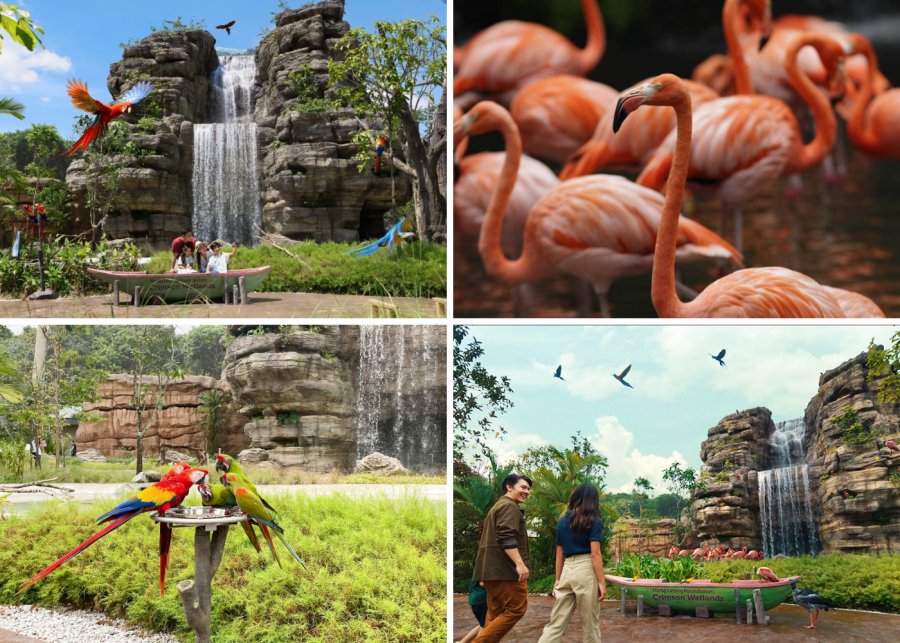 Bird Paradise Tour (Sharing Coach Tour)