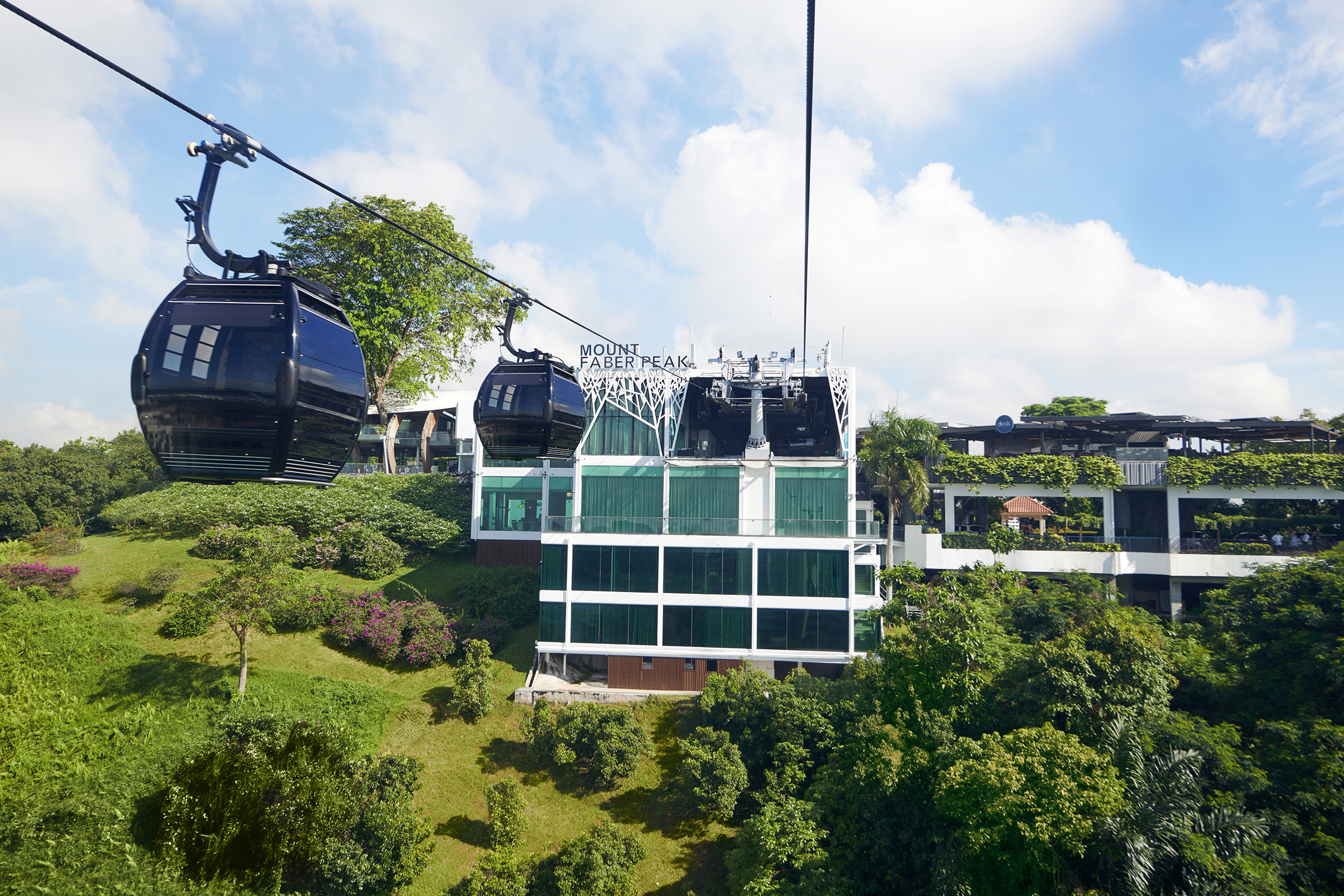 Mount Faber Line